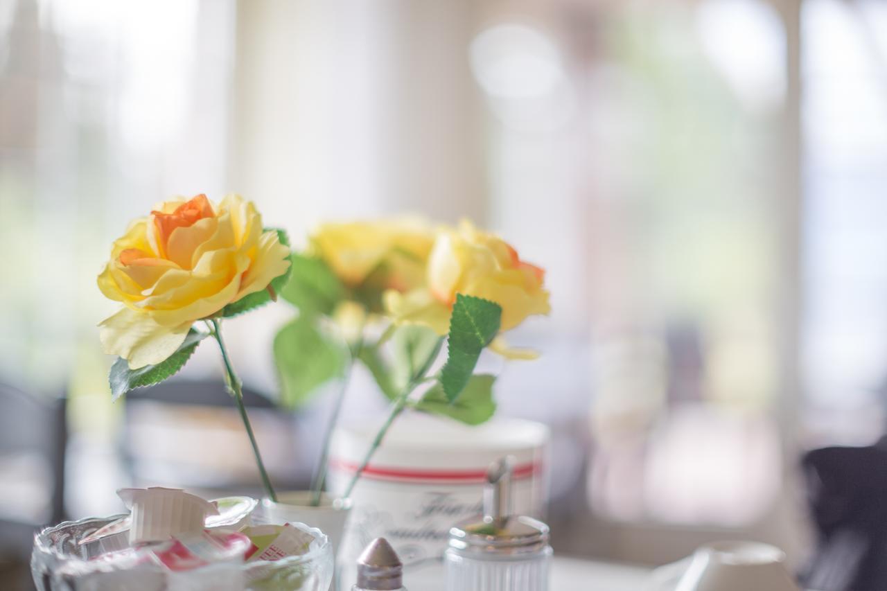 Pension Blumen-Villa Schneverdingen Esterno foto